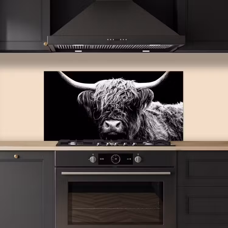 Schotse Hooglander - Koe - Zwart - Wit - Dieren keuken achterwand spatscherm middel -sfeer1