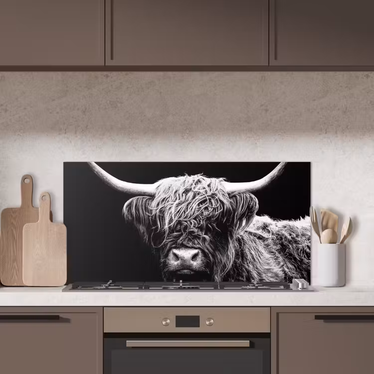 Schotse Hooglander - Koe - Zwart - Wit - Dieren keuken achterwand spatscherm middel -sfeer2