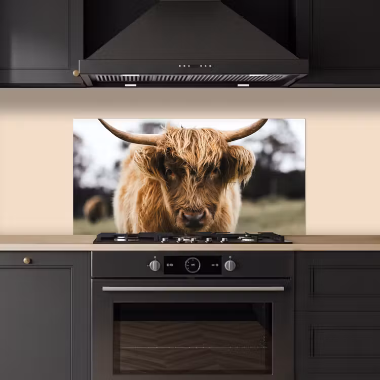 Schotse Hooglander - Koe - Gras - Dieren - Natuur keuken achterwand spatscherm middel -sfeer1