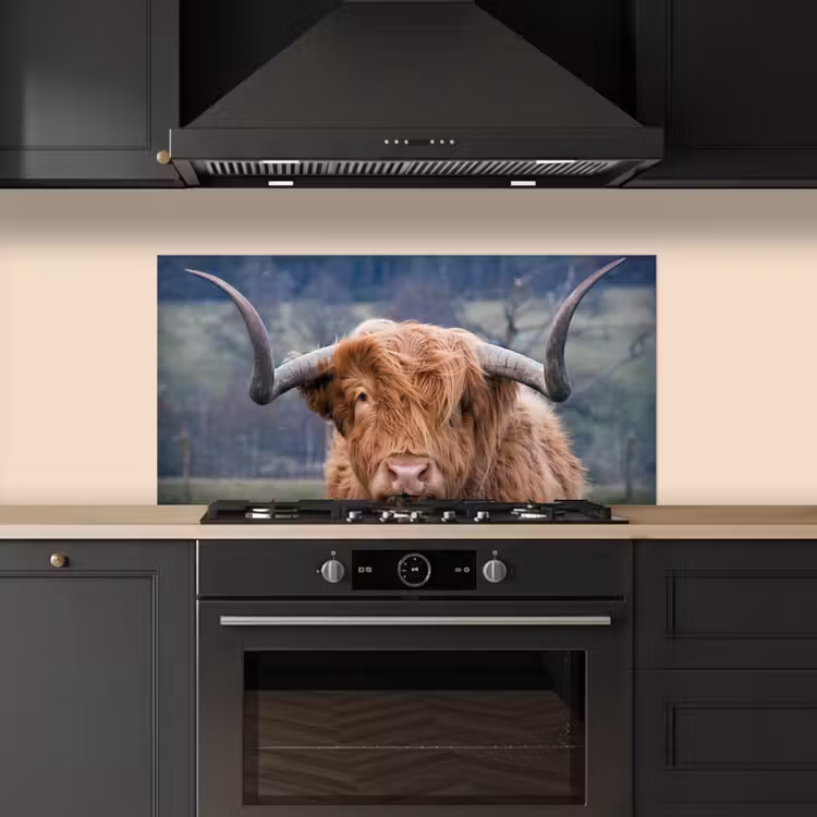 Schotse Hooglander - Koeienkop - Landschap - Natuur - Koe keuken achterwand spatscherm middel -sfeer1