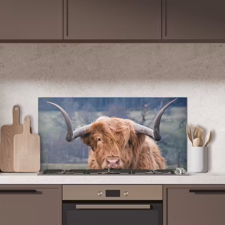 Schotse Hooglander - Koeienkop - Landschap - Natuur - Koe keuken achterwand spatscherm middel -sfeer2