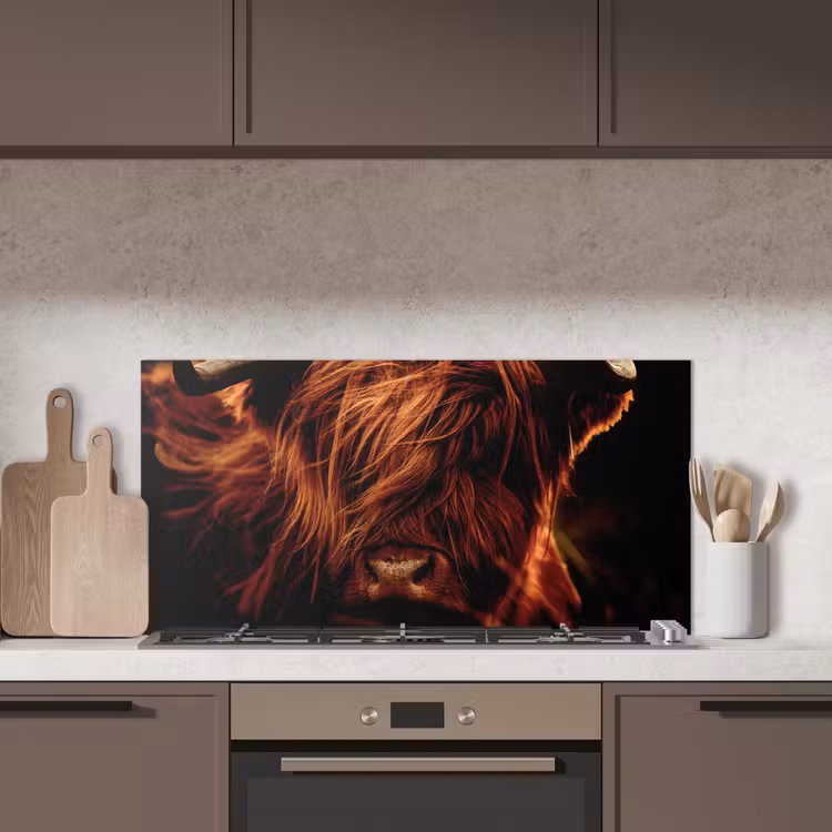 Schotse hooglander - Koe - Hoorns - Portret - Dieren keuken achterwand spatscherm middel -sfeer2