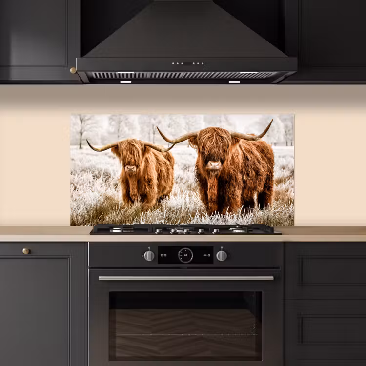Schotse hooglander - Koe - Natuur - Winter keuken achterwand spatscherm middel -sfeer1