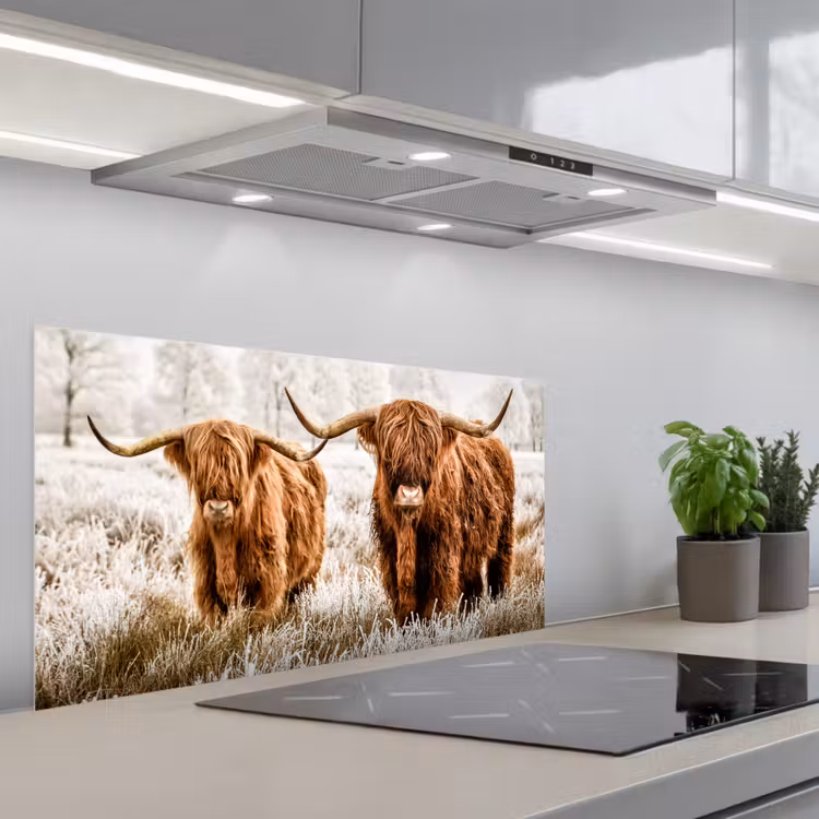 Schotse hooglander - Koe - Natuur - Winter keuken achterwand spatscherm middel -3d_schuin