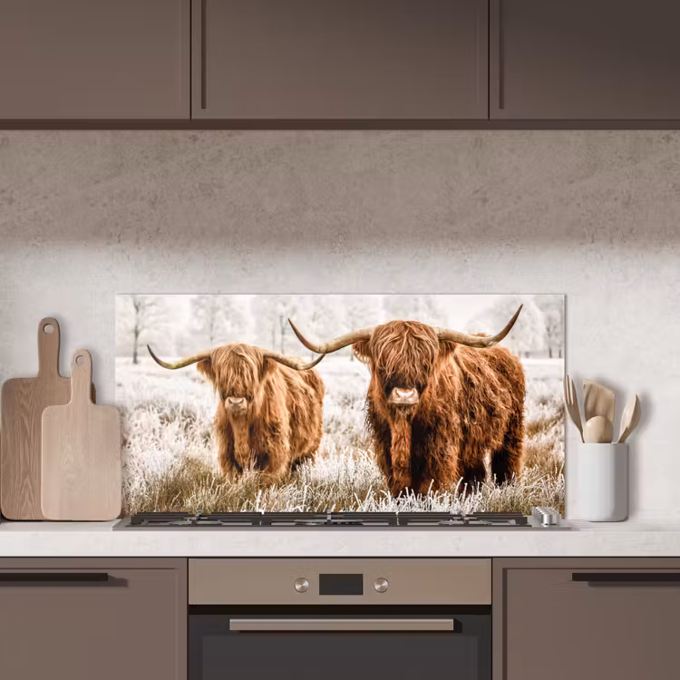 Schotse hooglander - Koe - Natuur - Winter keuken achterwand spatscherm middel -sfeer2