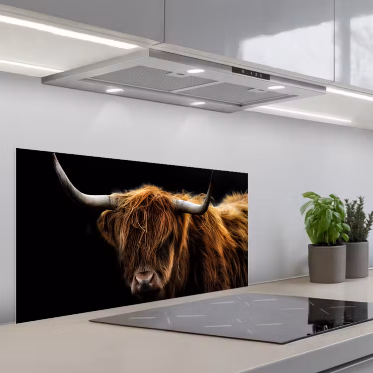 Schotse Hooglander - Horens - Zwart - Dieren - Natuur - Wild - Koe keuken achterwand spatscherm middel -3d_schuin