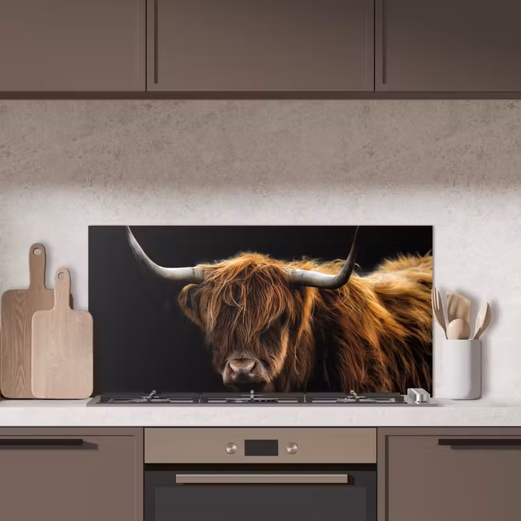 Schotse Hooglander - Horens - Zwart - Dieren - Natuur - Wild - Koe keuken achterwand spatscherm middel -sfeer2