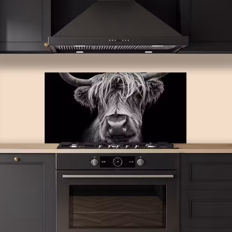 Schotse Hooglander - Horens - Zwart - Wit - Koe - Wild - Dieren keuken achterwand spatscherm middel -sfeer1