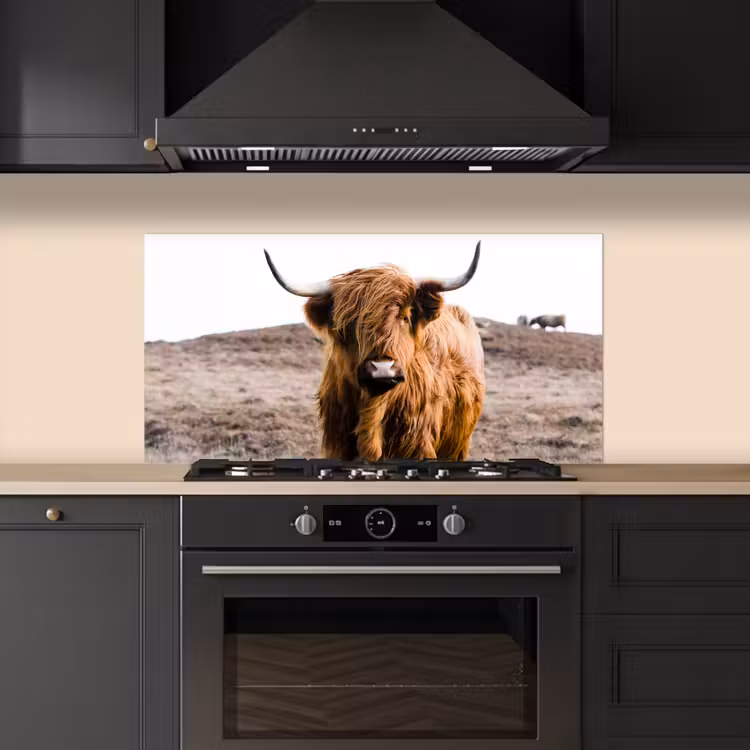 Schotse hooglander - Landschap - Koe - Bruin - Dieren - Natuur keuken achterwand spatscherm middel -sfeer1