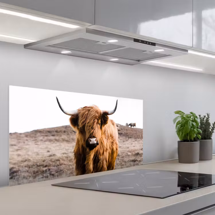 Schotse hooglander - Landschap - Koe - Bruin - Dieren - Natuur keuken achterwand spatscherm middel -3d_schuin
