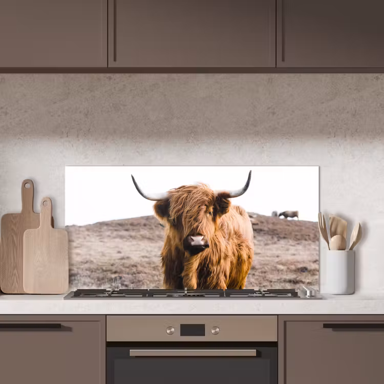 Schotse hooglander - Landschap - Koe - Bruin - Dieren - Natuur keuken achterwand spatscherm middel -sfeer2
