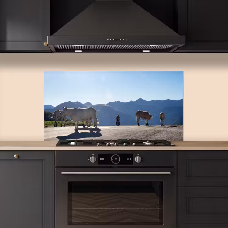 Schotse hooglander - Licht - Berg - Natuur keuken achterwand spatscherm middel -sfeer1