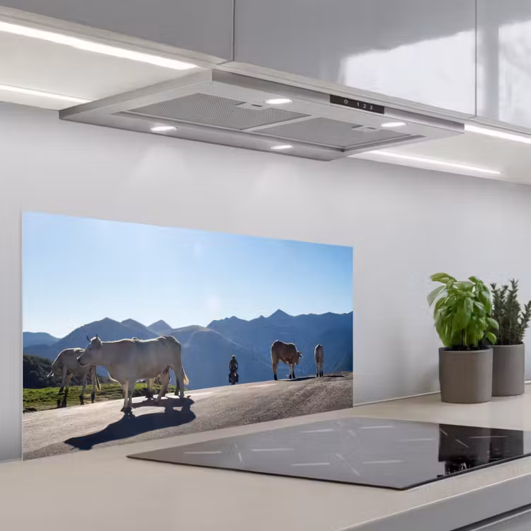 Schotse hooglander - Licht - Berg - Natuur keuken achterwand spatscherm middel -3d_schuin