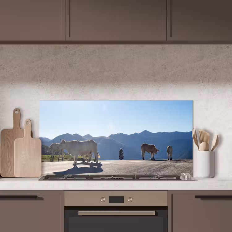 Schotse hooglander - Licht - Berg - Natuur keuken achterwand spatscherm middel -sfeer2