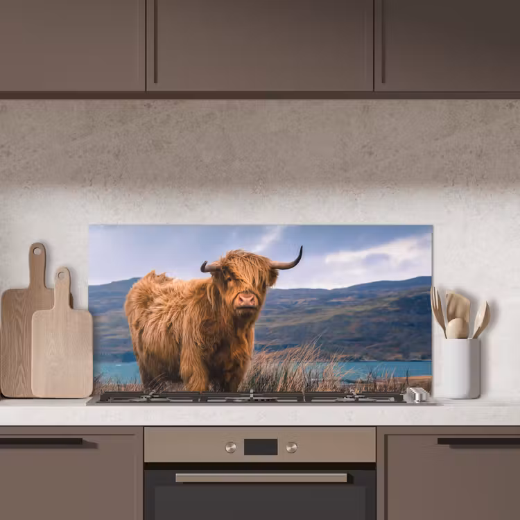 Schotse Hooglander - Berg - Water - Natuur - Koe keuken achterwand spatscherm middel -sfeer2