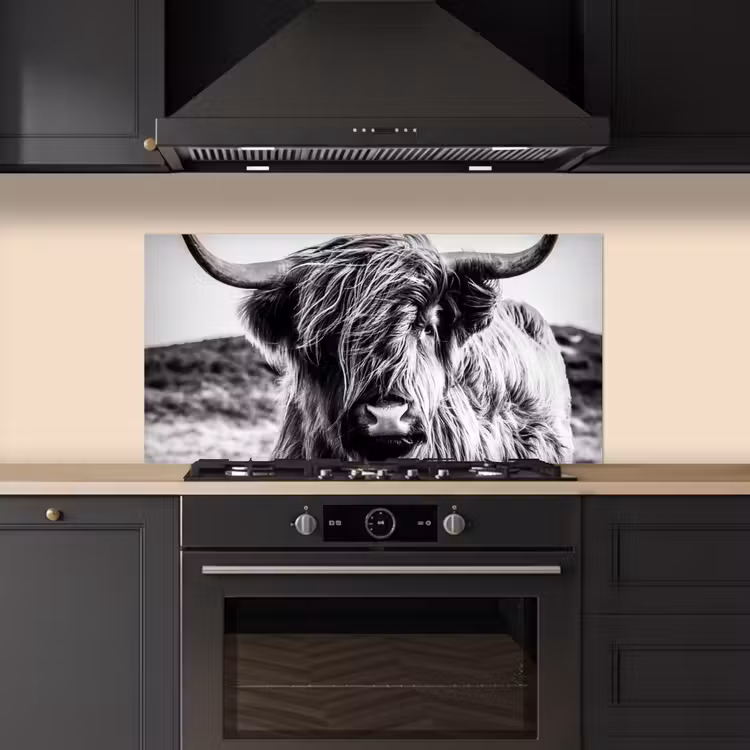 Schotse hooglander - Natuur - Koe - Zwart - Wit keuken achterwand spatscherm middel -sfeer1