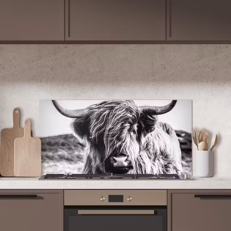Schotse hooglander - Natuur - Koe - Zwart - Wit keuken achterwand spatscherm middel -sfeer2