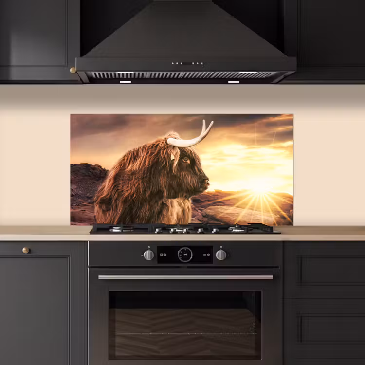 Schotse hooglander - Zon - Horizon - Koe - Dieren keuken achterwand spatscherm middel -sfeer1