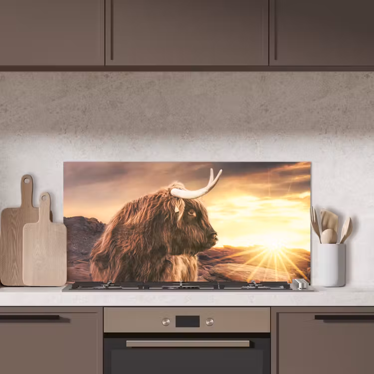 Schotse hooglander - Zon - Horizon - Koe - Dieren keuken achterwand spatscherm middel -sfeer2
