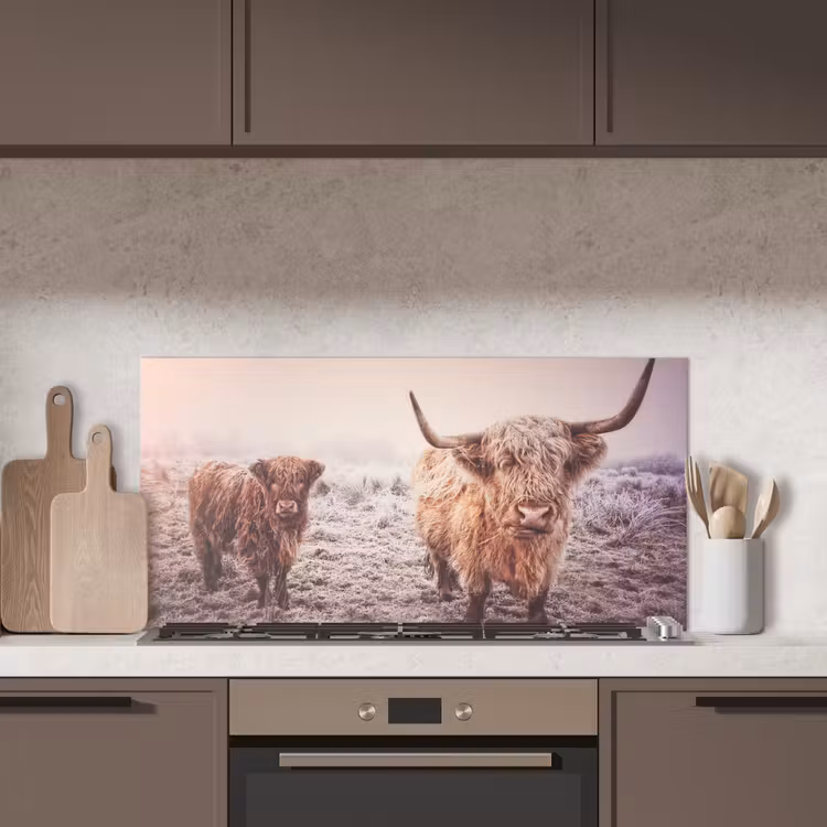 Schotse hooglanders - Licht - Lucht - Natuur keuken achterwand spatscherm middel -sfeer2