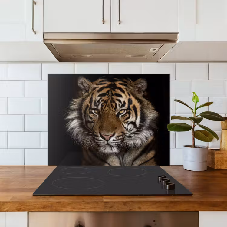 Tijger - Wilde dieren - Portret keuken achterwand spatscherm middel -sfeer2
