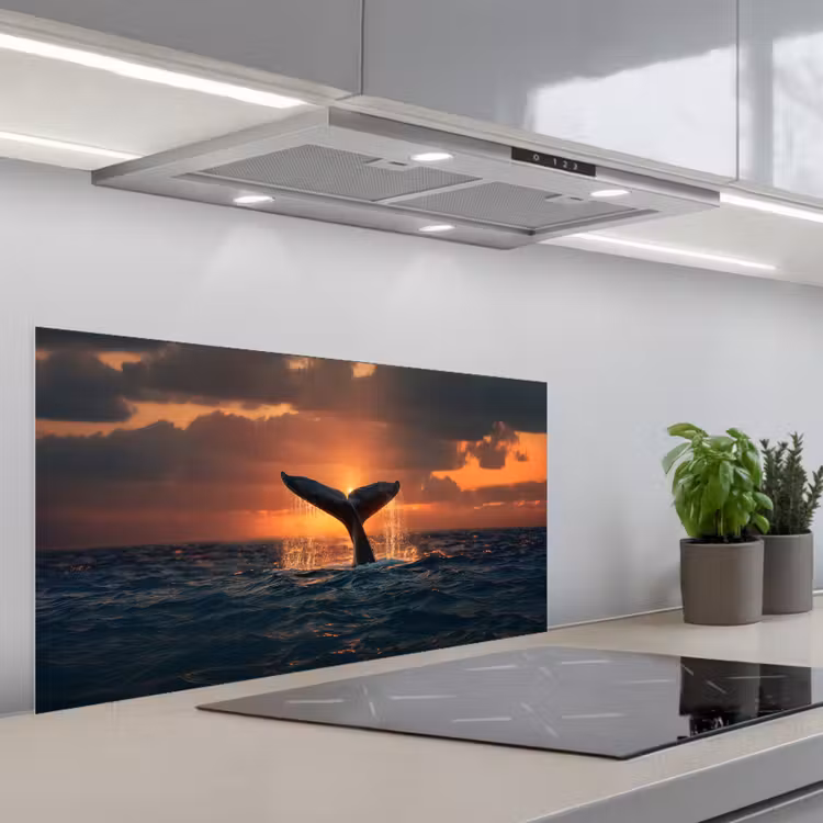 Walvis staart - Water - Zonsondergang keuken achterwand spatscherm middel -3d_schuin