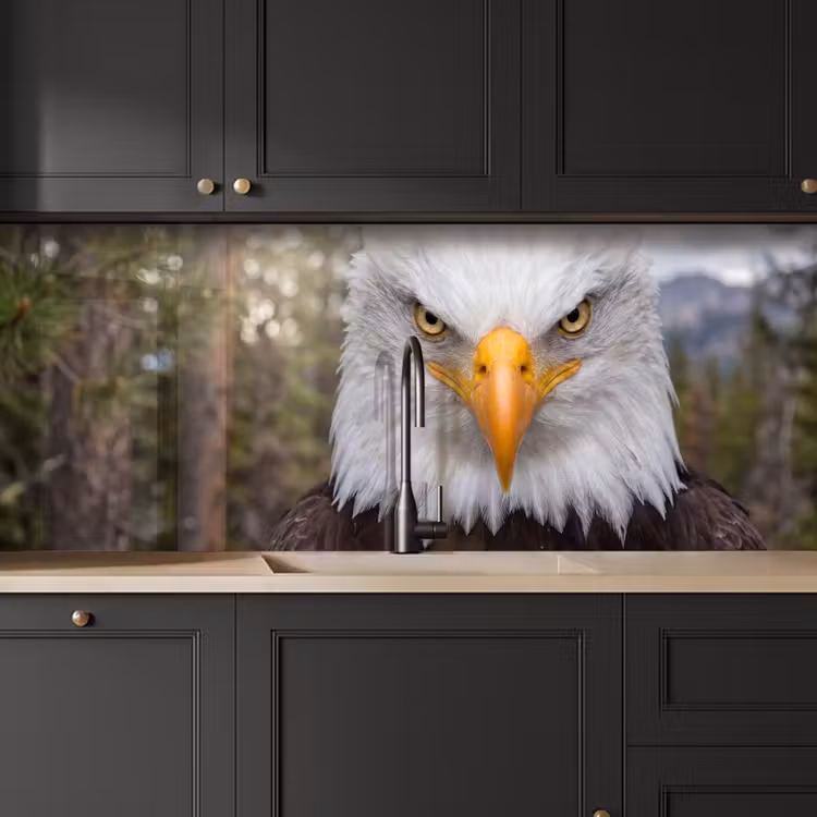 Amerikaans - Zeearend - Portret - Geel keuken achterwand 2 middel -sfeer1