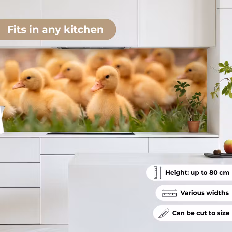 Pijltje - Eend - Natuur - Geel keuken achterwand 2 middel -sfeer4_UK