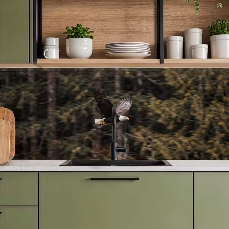 Zeearend - Vliegen - Bos - Natuur keuken achterwand 2 middel -sfeer3