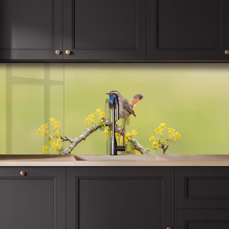 Vogel - Tak - Natuur - Kleurrijk keuken achterwand 2 middel -sfeer1