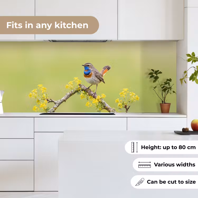 Vogel - Tak - Natuur - Kleurrijk keuken achterwand 2 middel -sfeer4_UK