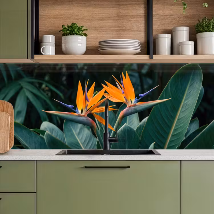 Paradijsvogel - Bloem - Exotisch keuken achterwand 2 middel -sfeer3