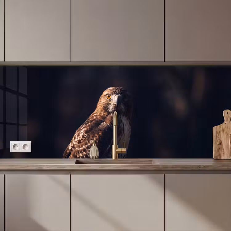 Roofvogel - Buizerd - Bruin keuken achterwand 2 middel zz_3dshopping