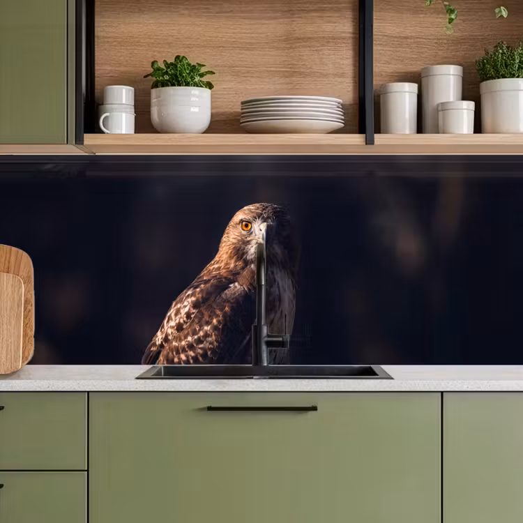 Roofvogel - Buizerd - Bruin keuken achterwand 2 middel -sfeer3