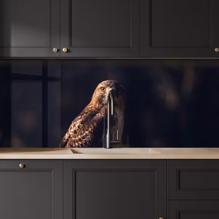 Roofvogel - Buizerd - Bruin keuken achterwand 2 middel -sfeer1