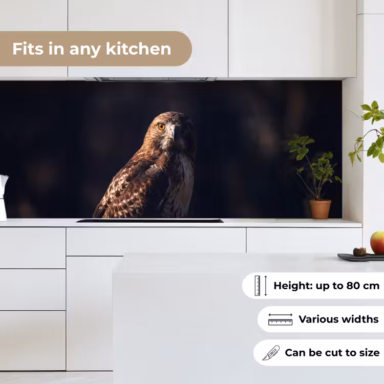Roofvogel - Buizerd - Bruin keuken achterwand 2 middel -sfeer4_UK