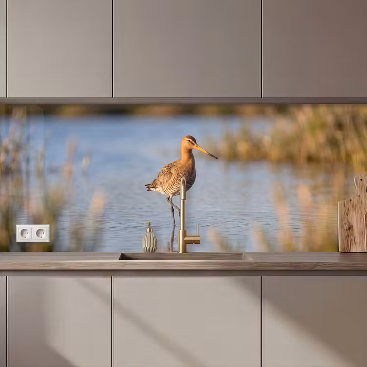 Vogel - Steltloper - Water - Natuur keuken achterwand 2 middel zz_3dshopping