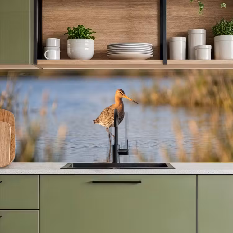 Vogel - Steltloper - Water - Natuur keuken achterwand 2 middel -sfeer3