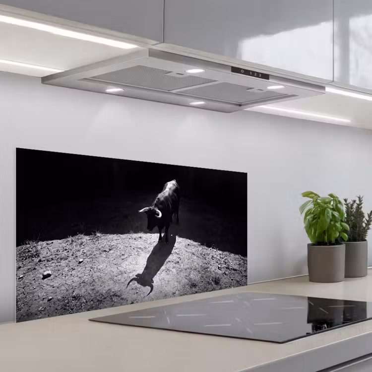 Stier - Schaduw - Dieren - Contrast - Zwart-wit keuken achterwand spatscherm middel -3d_schuin