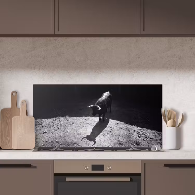 Stier - Schaduw - Dieren - Contrast - Zwart-wit keuken achterwand spatscherm middel -sfeer2