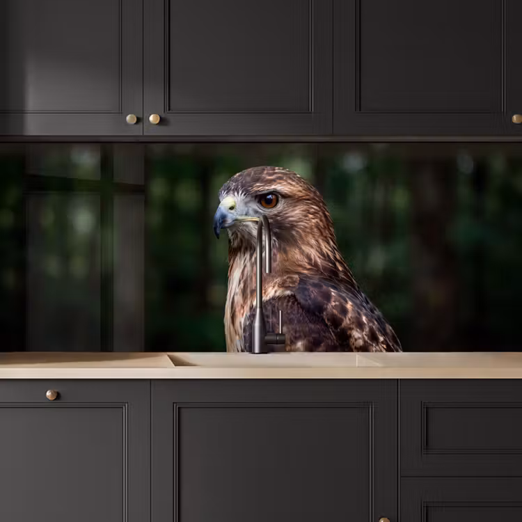 Buizerd - Roofvogel - Natuur - Bruin keuken achterwand 2 middel -sfeer1