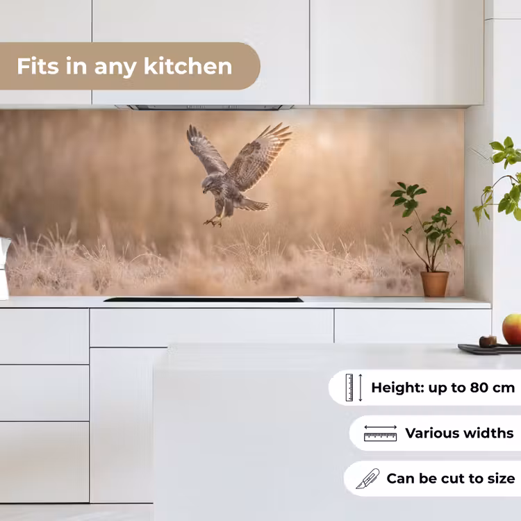 Buizerd - Roofvogel - Natuur - Bruin keuken achterwand 2 middel -sfeer4_UK