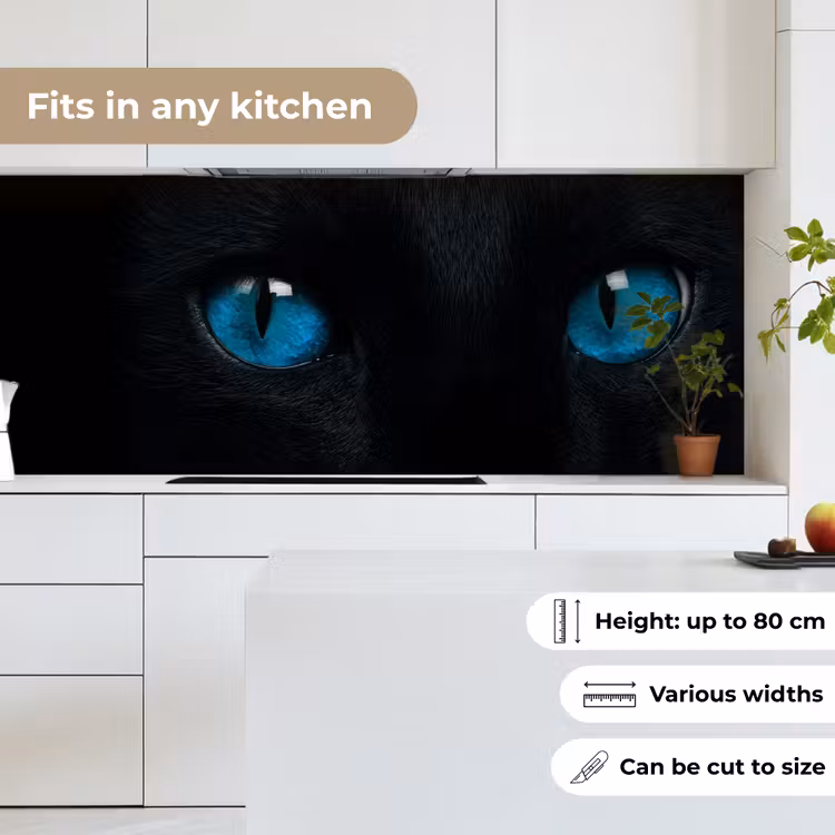 Kat - Blauw - Dier - Zwart keuken achterwand 2 middel -sfeer4_UK