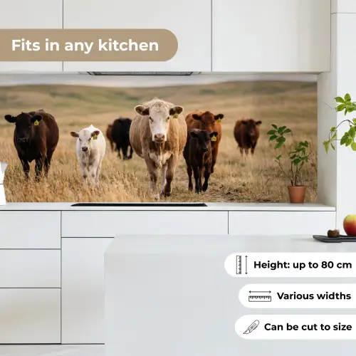 Runderen - Kudde - Landschap - Weide - Rustig keuken achterwand 2 middel -sfeer4_UK