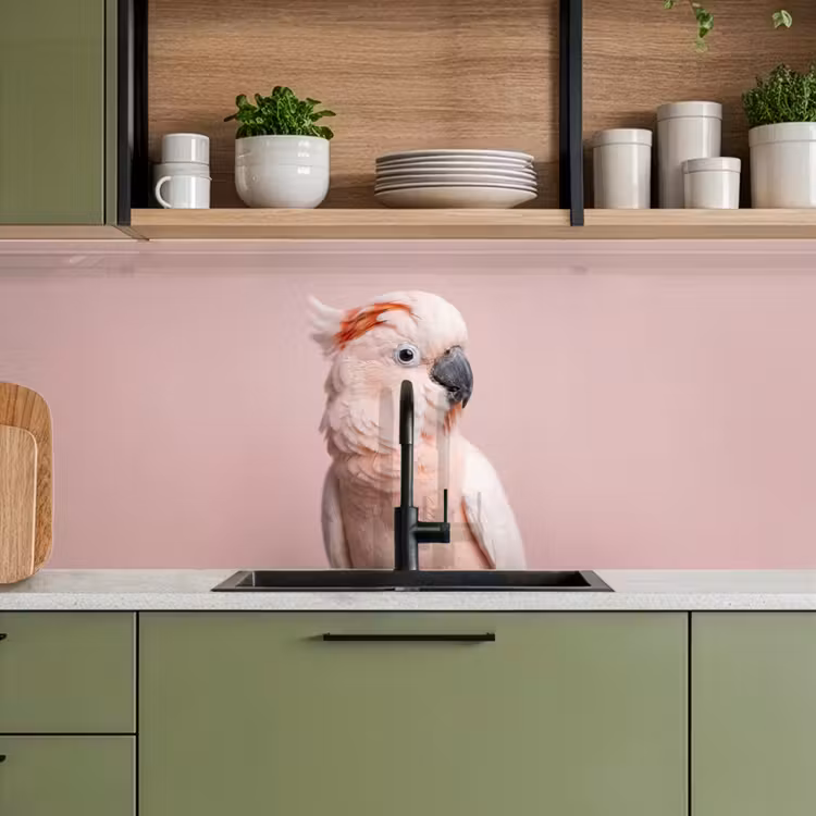 Kaketoe - Portret - Roze keuken achterwand 2 middel -sfeer3
