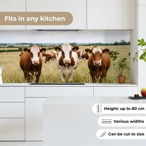 Koeien - Portret - Weide - Boerderij - Nieuwsgierig keuken achterwand 2 middel -sfeer4_UK