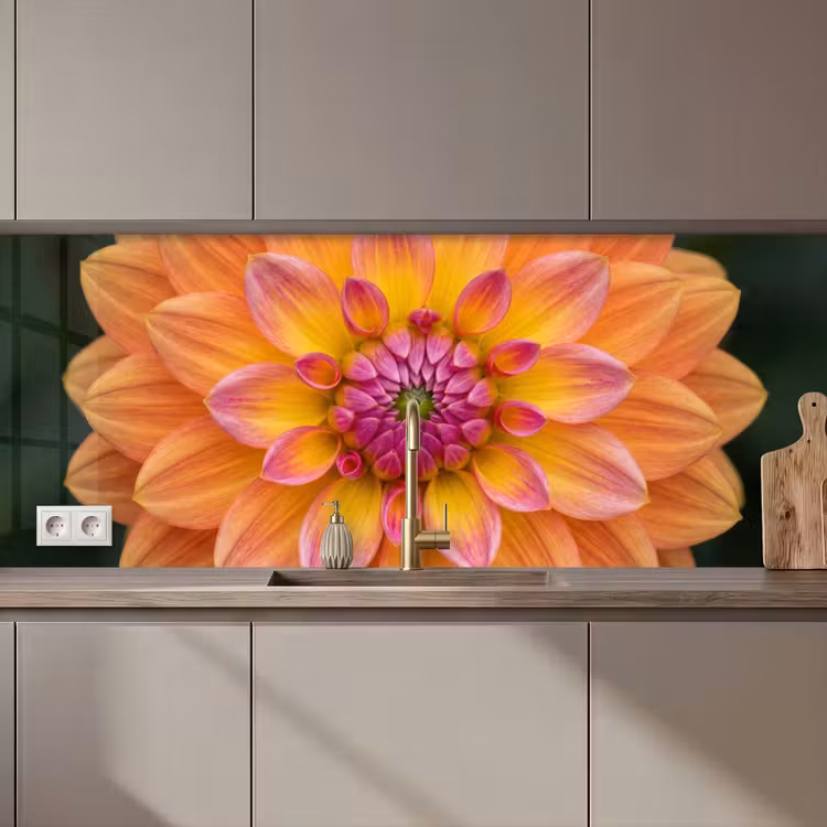 Dahlia - Bloem - Oranje keuken achterwand 2 middel zz_3dshopping