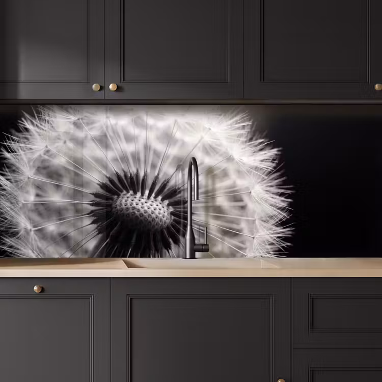 Paardenbloem - Zwart - Wit keuken achterwand 2 middel -sfeer1