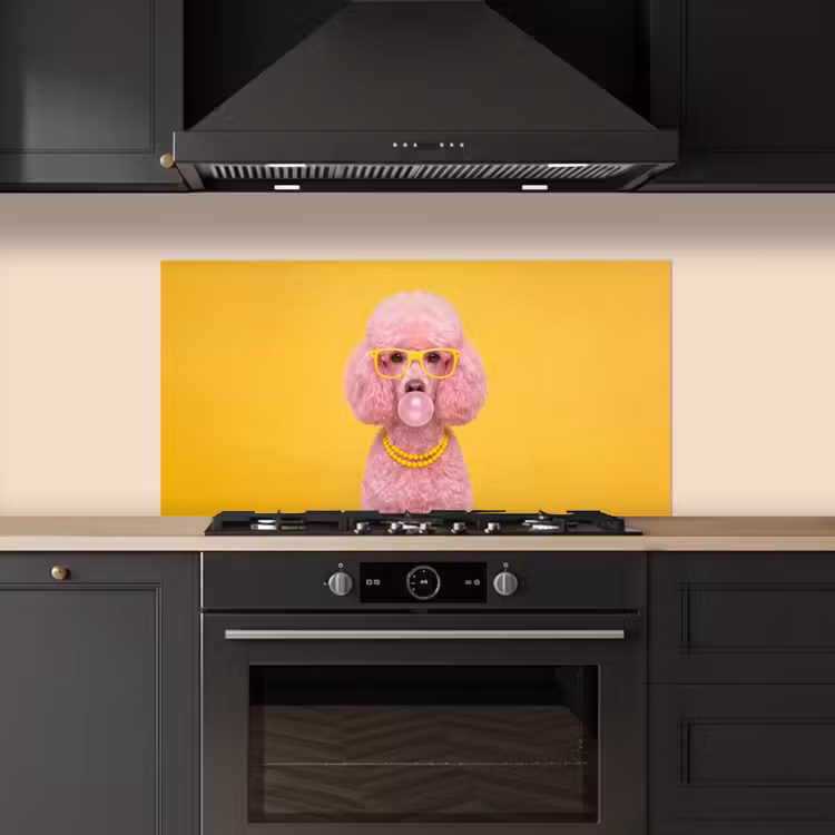 Hond - Kauwgum - Dieren - Modern - Roze keuken achterwand spatscherm middel -sfeer1