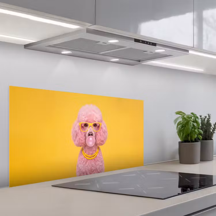 Hond - Kauwgum - Dieren - Modern - Roze keuken achterwand spatscherm middel -3d_schuin
